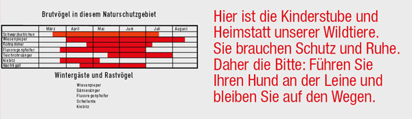 Informationstafel Brutvögel, Wintergäste und Rastvögel