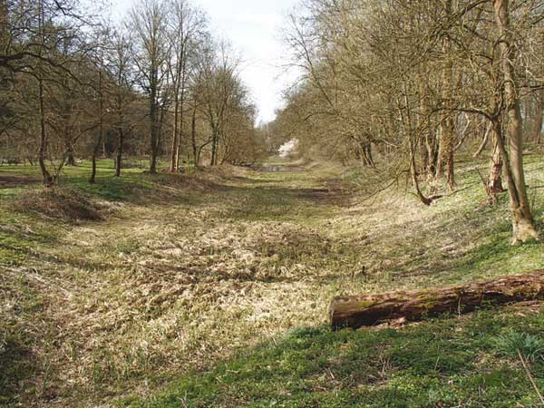 kleine Kriegslaache in Orr