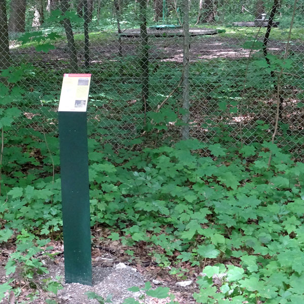 Brunnen im Wasserwerkswald Weiler