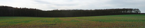 Pulheim-Escher Rheinarm