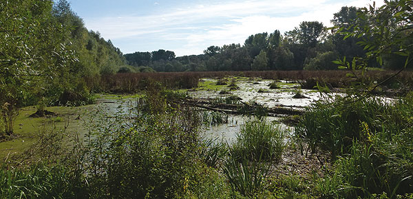 Aufnahme vom 8. Oktober 2012