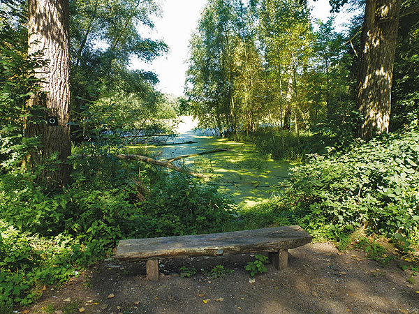 Wasserstand des Rheines 2,70 m Kölner Pegel