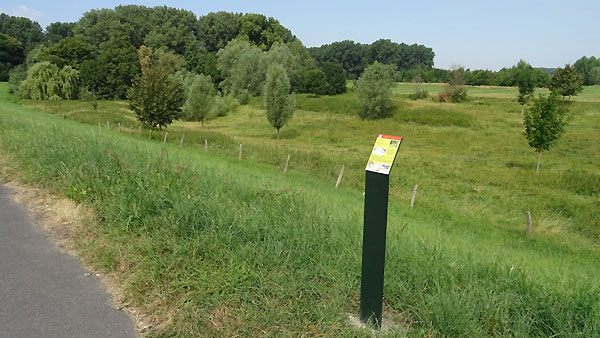 Blick von Osten auf Flutmulde und Frohnweiher