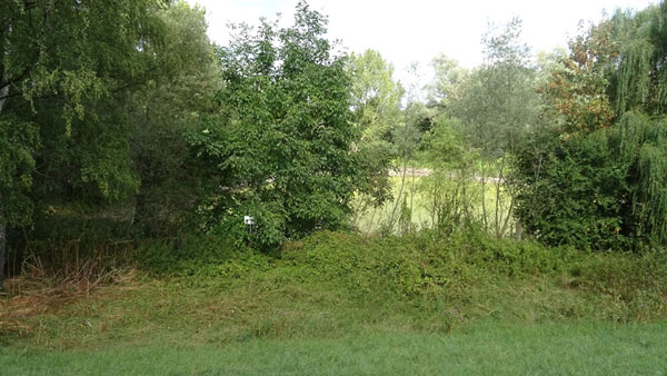 Blick von Süden auf den Frohnweiher