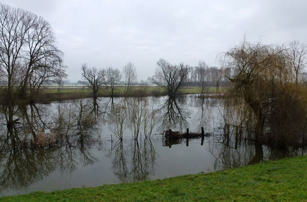 Blick von Süden auf den Frohnweiher