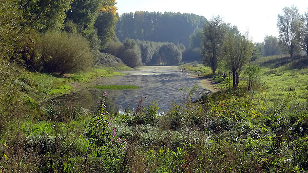 Flutmulden am Werthweg