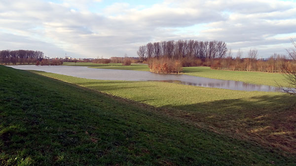 Blick vom Damm auf die renaturierte Aue