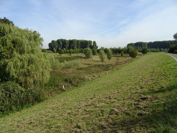 Ausweitungsbereich des Frohnweihers