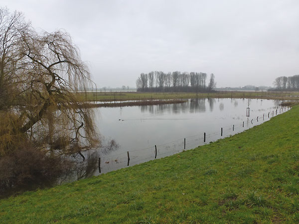 Ausweitungsbereich des Frohnweihers