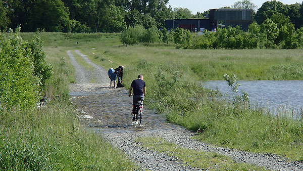 Flutmulden am Werthweg