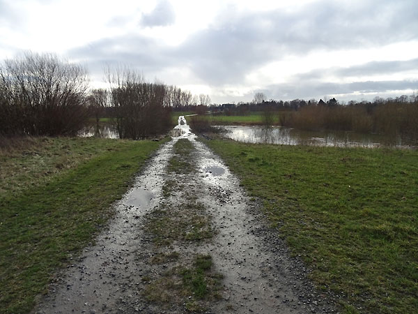 Flutmulden am Werthweg