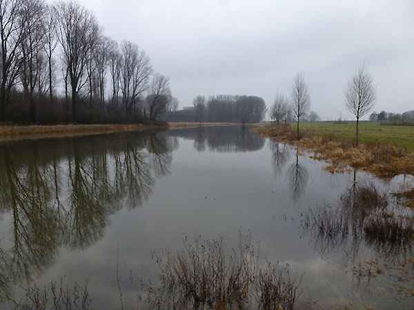 Flutmulden am Werthweg