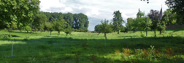 Flutrinne (ehemaliger Rheinarm) bei Erzählstation 30