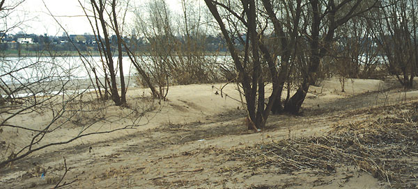 Vom Hochwasser zurückgelassene Sandbank
