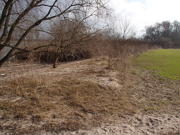 Sandschüttung am Ufer