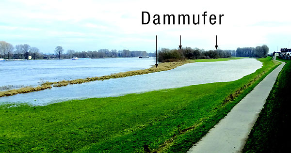 Dammufer und Flumulde