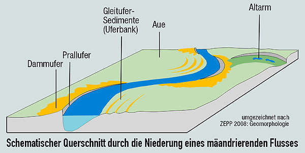 Schematischer Querschnitt