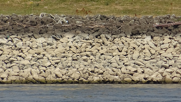 Buhnen und Uferdeckwerk aus gebrochenem Säulenbasalt