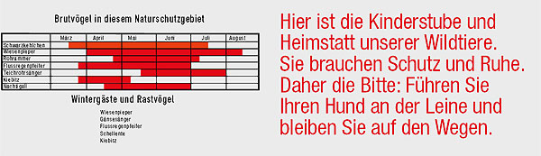 Brutvögel in Naturschutzgebiet