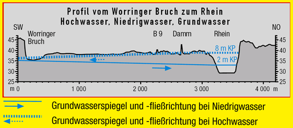Profil vom Worringer Bruch zu Rhein