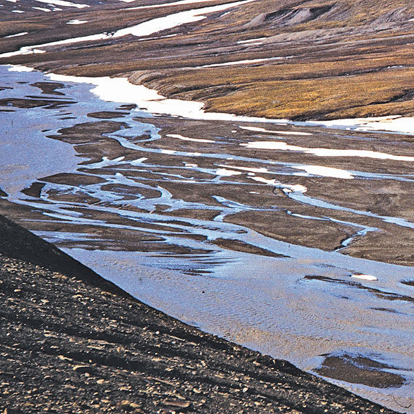 Verflochtene Gerinnebetten auf Spitzbergen