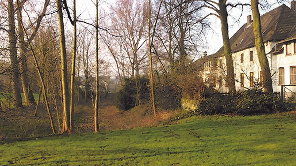 Bild 5: Blick von Nordosten in den ehemaligen Großen Weiher am Frohnhof