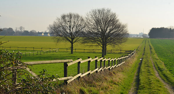 Bild 6: Blick nach Südost in den Rheinarm