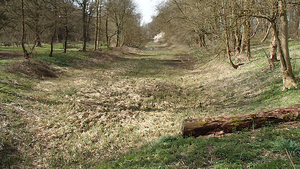 Bild 7: Kleine Kriegslaache im Landschaftspark Orr