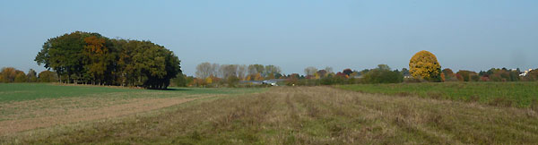 Bild 9: "Auensee" im alten Rheinarm