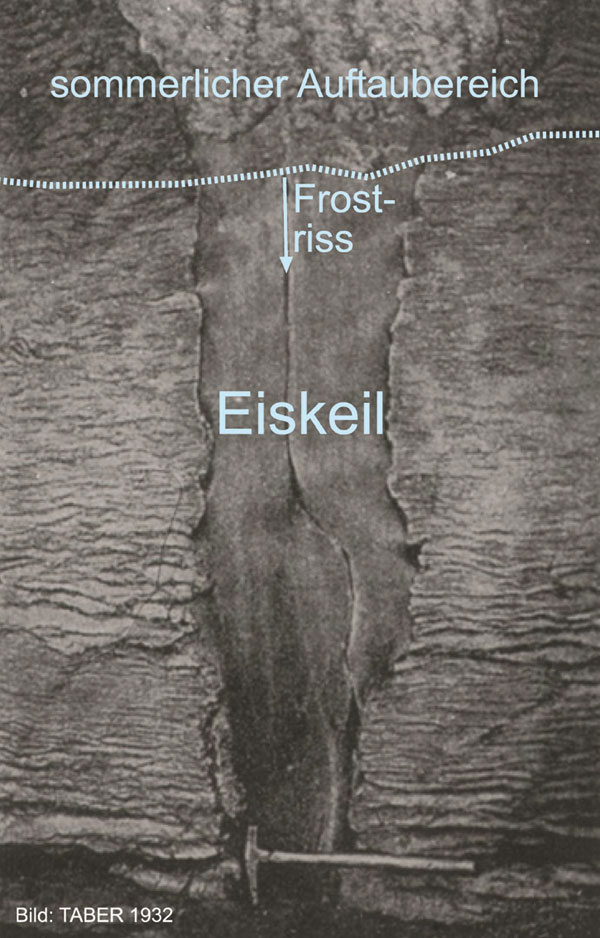 Aktiver Eiskeil im Permafrostboden